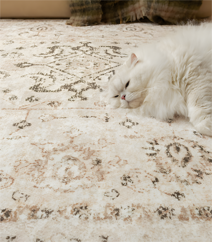 Cream Persian Style Living Room Rug,  Detachable, Machine Washable