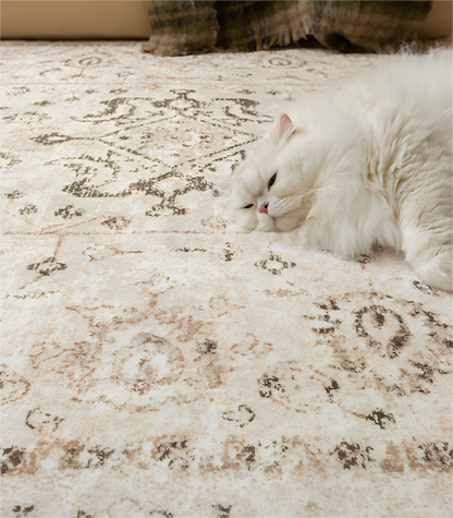 Cream Persian Style Living Room Rug,  Detachable, Machine Washable